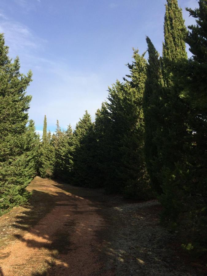 Podere Ceppeti 13 Gabellino Dış mekan fotoğraf