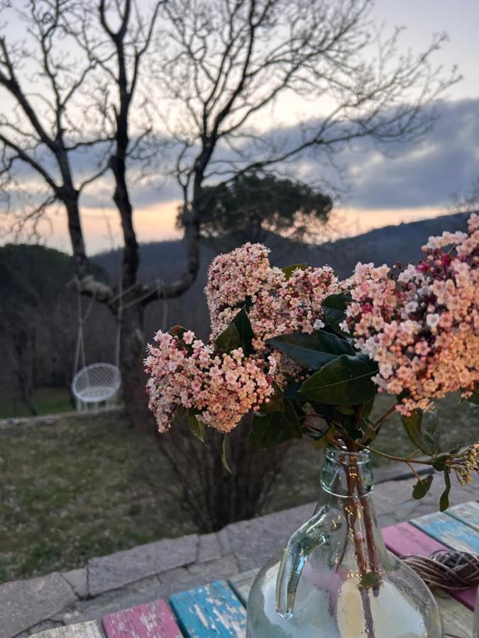 Podere Ceppeti 13 Gabellino Dış mekan fotoğraf